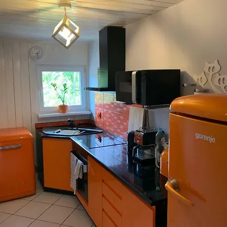 Lesny Apartament *